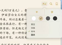 Books如何调整字体大小mg不朽情缘游戏网站登录i(图3)